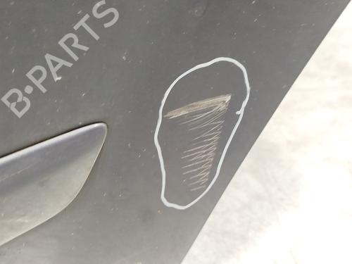 Left rear door FORD S-MAX (WA6) 2.0 TDCi | BP29356944C4 