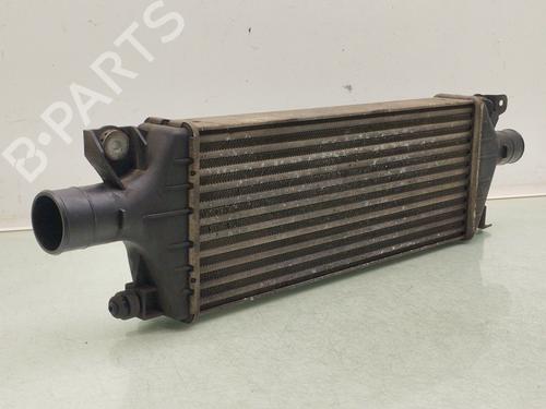 Used Intercooler FIAT SEDICI (189_) 2.0 D Multijet 4x4 (135 hp) 29154581