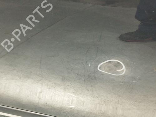 Right front door MERCEDES-BENZ E-CLASS (W211) E 220 CDI (211.006) | BP21771546C3 