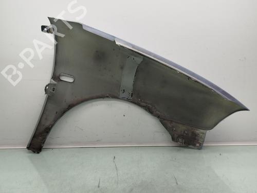 Left front fenders SEAT CORDOBA (6L2) 1.4 16V | BP21495625C41 