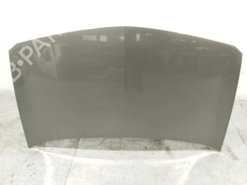 Used Hood RENAULT MEGANE II (BM0/1_, CM0/1_) 1.5 dCi (BM1F, CM1F) (86 hp) 21272210