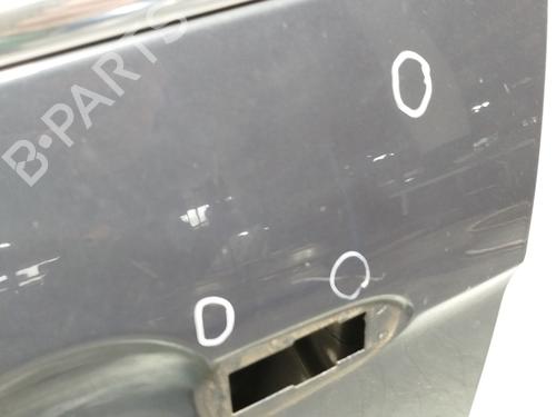 Left front door FORD S-MAX (WA6) 2.0 TDCi | BP29356942C2 