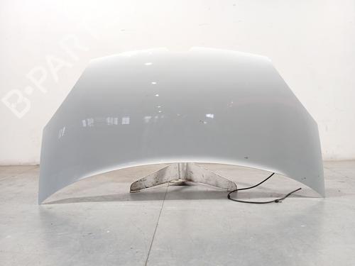 hood-renault-kangoo-express-fw01_-2008-33872998 main image