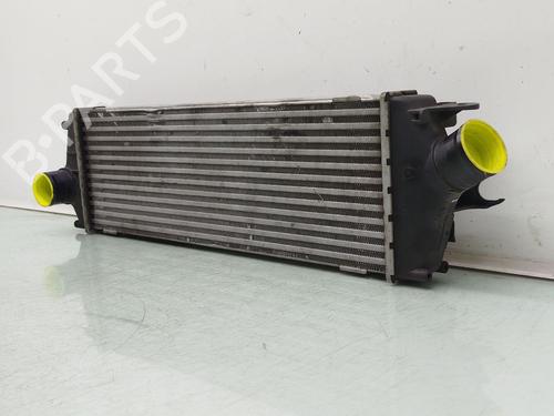 Intercooler RENAULT TRAFIC II Bus (JL) 2.0 dCi 115 (JL00, JL01, JL0H, JL0M, JL0U) | BP38287084M30 - Image 3