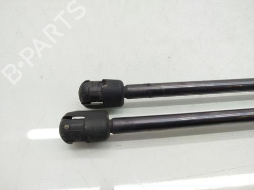 Tailgate lift support MERCEDES-BENZ VITO / MIXTO Van (W639)  | BP17808608C138 