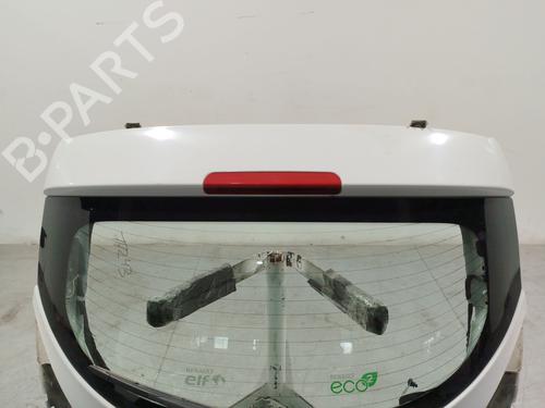 Tailgate RENAULT MEGANE III Hatchback (BZ0/1_, B3_)  | BP25303745C6 