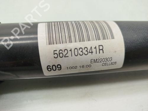 Right rear shock absorber RENAULT MEGANE IV Grandtour (K9A/M/N_) 1.5 Blue dCi 115 (K9A6) | BP20304734M19 