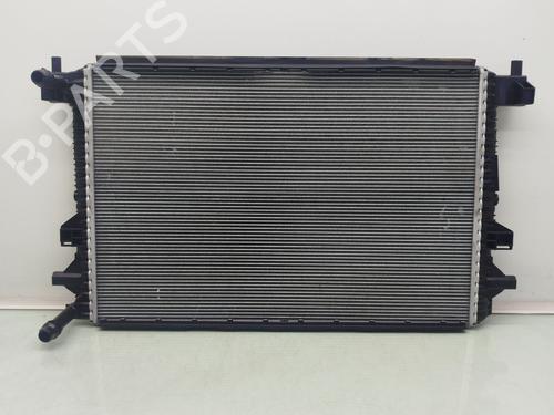 Køler AUDI A1 Sportback (GBA) 30 TFSI (116 hp) 29754304