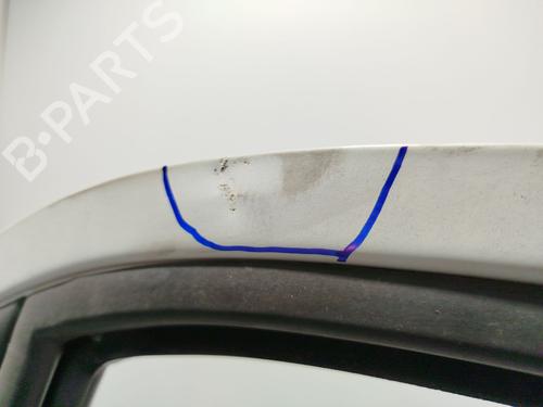 Left front door IVECO DAILY III Van 35 S 11 V,35 C 11 V | BP23254484C2 