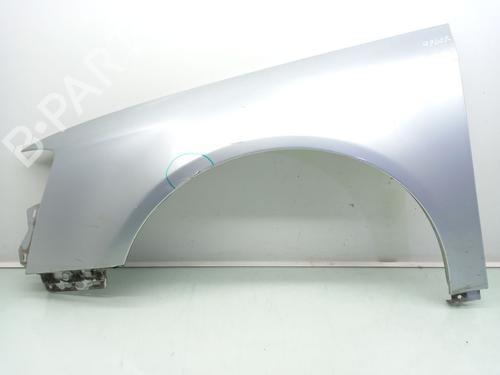 Used Left front fenders VW PASSAT B6 (3C2) 2.0 TDI 16V (140 hp) 26941089