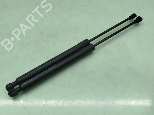 tailgate-lift-support-renault-zoe-bfm_-2012-32111556 main image