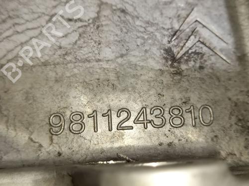 Gearbox CITROËN C-ELYSEE (DD_) 1.5 BlueHDi 100 | BP31130368M3 