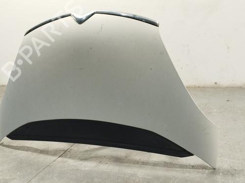 Hood CITROËN C4 Grand Picasso I (UA_) 1.6 HDi 110 | BP27697600C1 