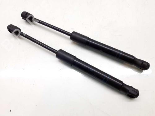 Hood lift support BMW 3 (F30, F80) 320 d xDrive 51237239233