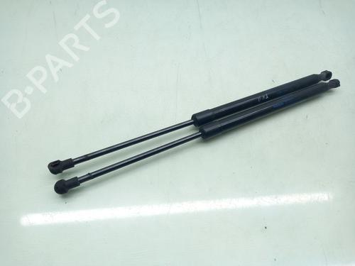 Tailgate lift support NISSAN MICRA V (K14)  | BP16755799C138 