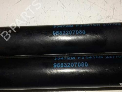 Tailgate lift support PEUGEOT 3008 I MPV (0U_)  | BP14307258C138 