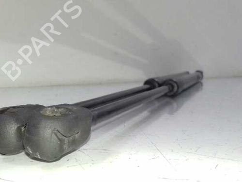 Tailgate lift support AUDI A3 Sportback (8PA) 2.0 TDI 16V | BP14501686C138 