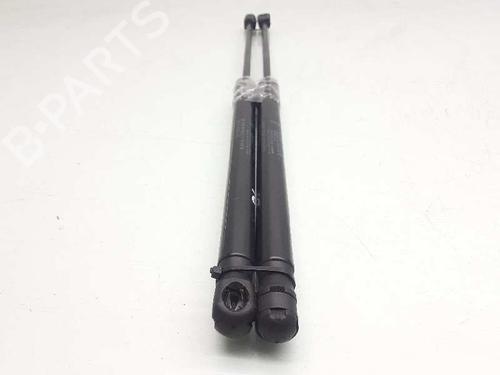 Hood lift support JAGUAR XE (X760)  | BP14309474C139 