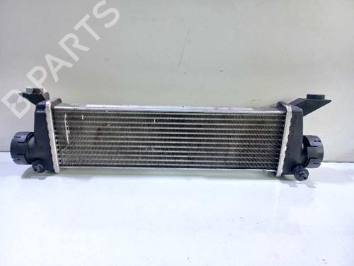 Intercooler MERCEDES-BENZ VANEO (414)  | BP16248895M30 