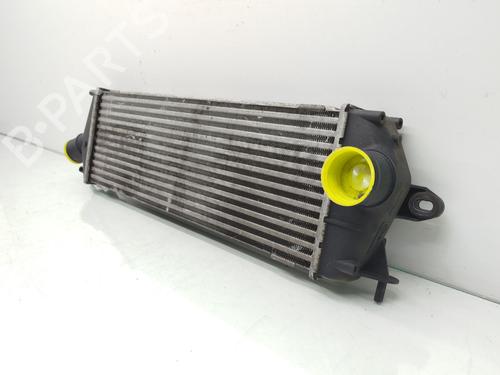 BP17968125M30 | Intercooler RENAULT TRAFIC II Van (FL) 2.0 dCi 115 (FL01, FL0U) BP17968125M30