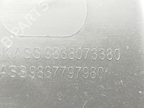 Glove box PEUGEOT 308 III (FB_, FH_, FP_, F3_, FM_) PureTech 110 (FPHNPL) | BP31015056C95 