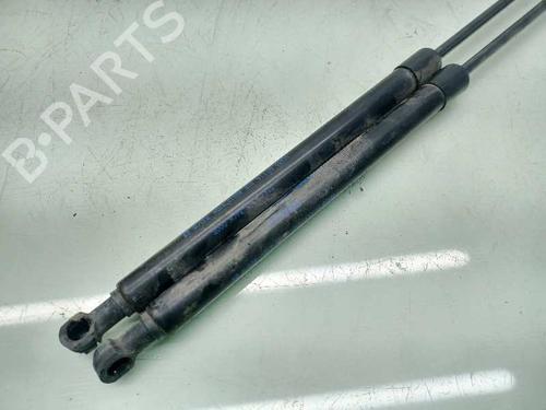 Tailgate lift support NISSAN MICRA V (K14)  | BP14308876C138