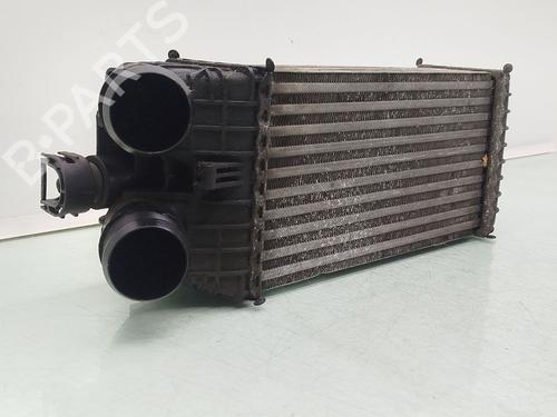 Intercooler PEUGEOT 208 I (CA_, CC_) 1.6 BlueHDi 100 | BP30505087M30