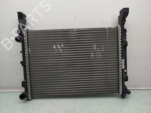 Radiateur à eau RENAULT KANGOO Express (FW0/1_) Z.E. (FW0Z, FW1Z) (60 hp) 31904994