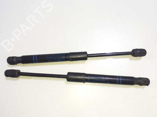 Used Hood lift support BMW 1 (F20) 116 d (116 hp) 14307672
