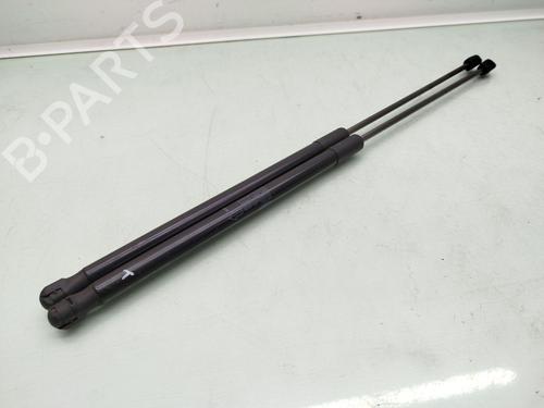 Used Tailgate lift support LAND ROVER RANGE ROVER EVOQUE (L538) 2.0 D 4x4 (150 hp) 19426545