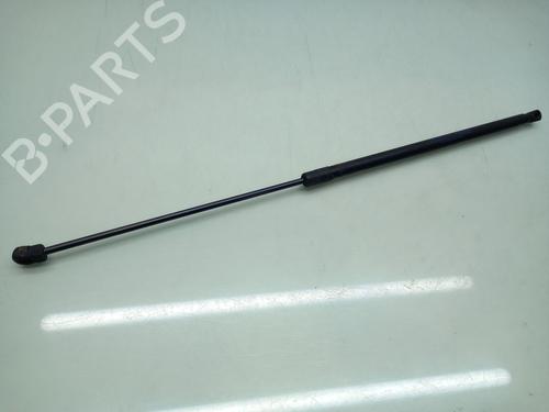 Hood lift support VW GOLF V (1K1) 2.0 TDI | BP20304646C139 