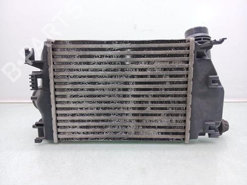 Used Intercooler Intercooler RENAULT KADJAR (HA_, HL_) 1.2 TCe 130 (HLMR) (130 hp) 32697986 32697986