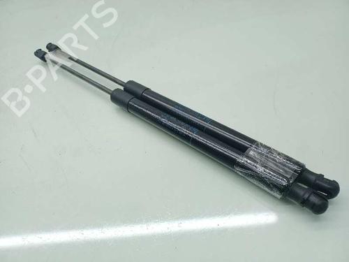 Used Hood lift support AUDI Q5 (8RB) 2.0 TDI quattro (177 hp) 14308700