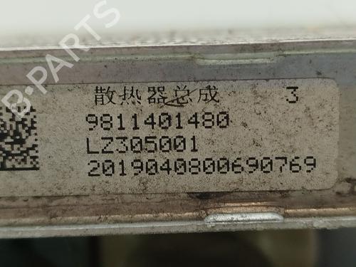 Køler OPEL GRANDLAND / GRANDLAND X (A18, P1UO) 1.2 (75) | BP29423250M31