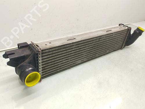 Intercooler RENAULT TRAFIC III Bus (JG_) 1.6 dCi 125 (JGMH) | BP40107170M30 - Image 2