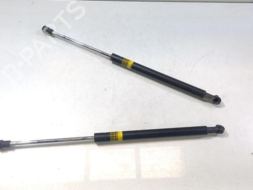 tailgate-lift-support-lexus-ct-zwa10_-2010-33855649 main image