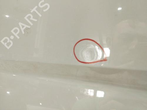 Right front door MAN TGE Van eTGE (35V, UXB) | BP29709913C3 