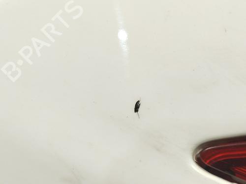 Rear bumper TOYOTA YARIS (_P13_) 1.4 D (NLP130_, NLP130) | BP29353114C8 