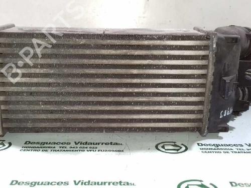Intercooler CITROËN XSARA PICASSO (N68)  | BP1740596M30 