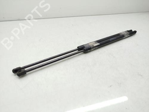 Tailgate lift support MERCEDES-BENZ VITO / MIXTO Van (W639)  | BP17808608C138 