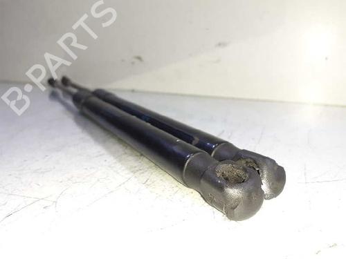 Tailgate lift support BMW 1 (E87)  | BP14307563C138 