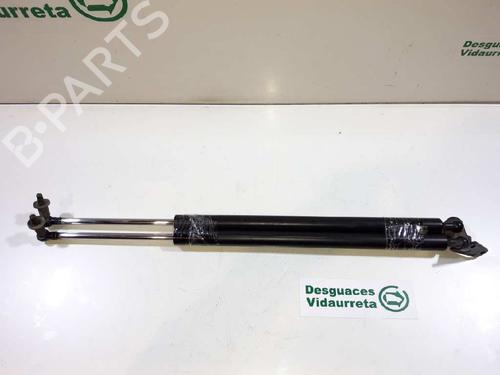 Tailgate lift support MITSUBISHI GRANDIS (NA_W) 2.0 DI-D (NA8W) BP14306710C138