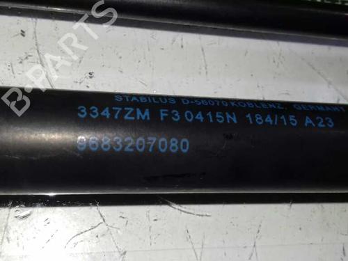 Tailgate lift support PEUGEOT 3008 I MPV (0U_) 1.6 BlueHDi 120 | BP14306344C138 