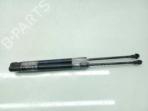 Tailgate lift support BMW 1 (E87) 118 i | BP14307625C138 