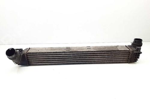 Used Intercooler RENAULT SCÉNIC III (JZ0/1_) 1.5 dCi (106 hp) 5875931