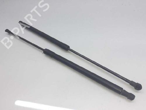 Used Tailgate lift support NISSAN QASHQAI / QASHQAI +2 I (J10, NJ10, JJ10E) 2.0 (141 hp) 14307895