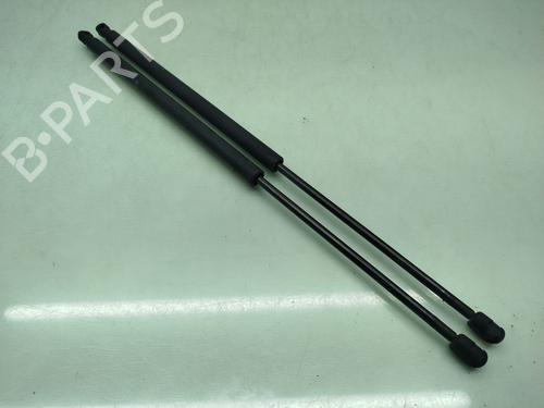 Tailgate lift support MERCEDES-BENZ VITO / MIXTO Van (W639) 111 CDI (639.601, 639.603, 639.605) | BP24368982C138 