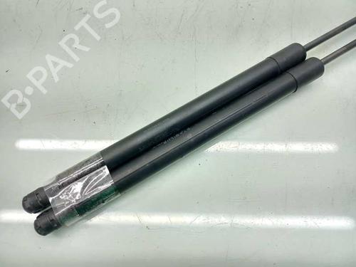 Tailgate lift support MERCEDES-BENZ B-CLASS Sports Tourer (W245)  | BP14307898C138 
