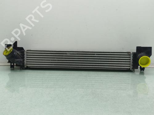 Intercooler MINI MINI COUNTRYMAN (F60) One (102 hp) 30276965