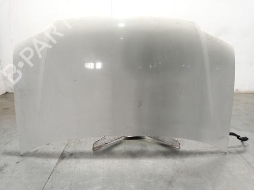 Motorhjelm VW CADDY III Box Body/MPV (2KA, 2KH, 2CA, 2CH) 2.0 SDI (70 hp) 31572078